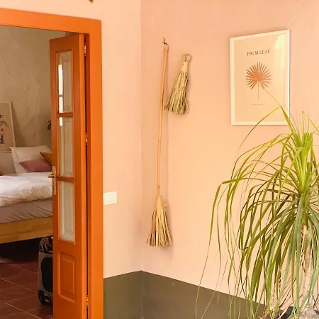 Origen Casa Rosa Maria Rural Unique * San Pedro (Gran Canaria)